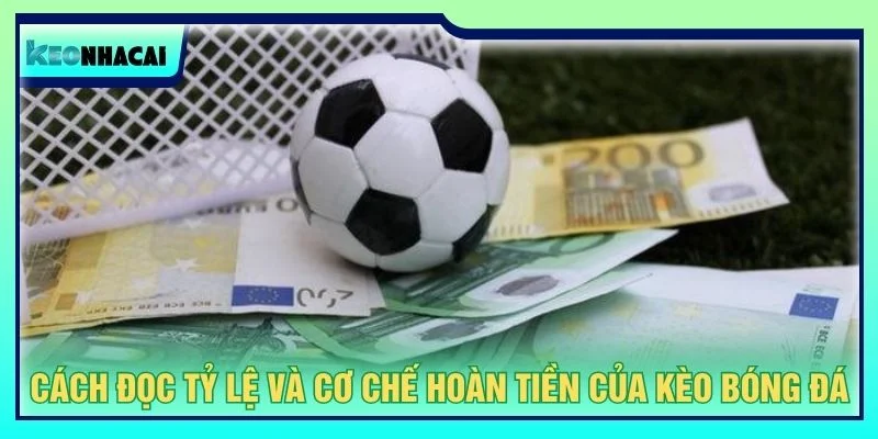 Cách đọc tỷ lệ và cơ chế hoàn tiền của kèo bóng đá